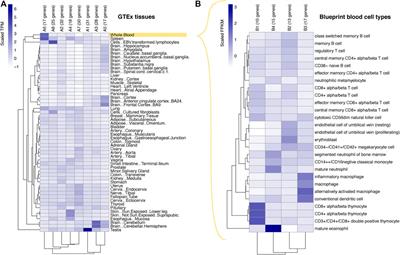 Prioritisation of Candidate Genes Underpinning COVID-19 Host Genetic Traits Based on High-Resolution 3D Chromosomal Topology